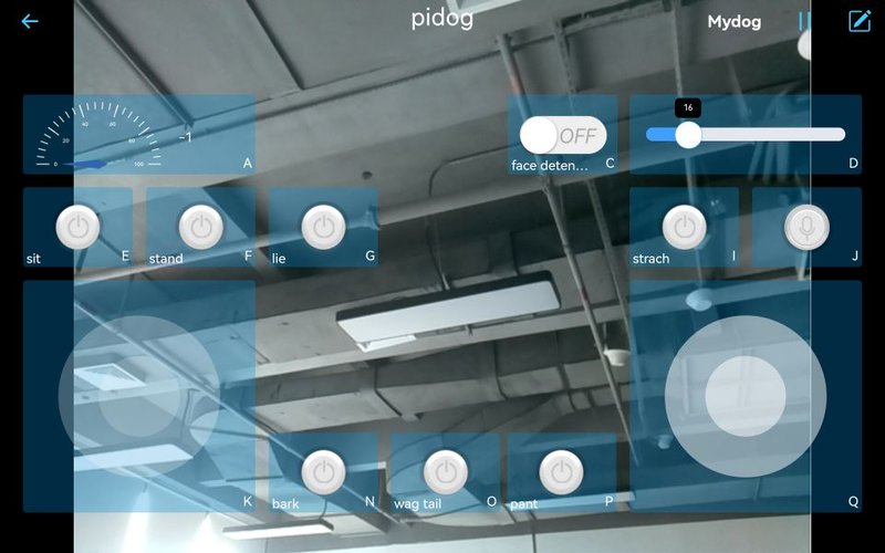 Explore spindog uk