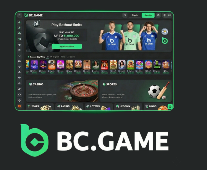 Understanding the BC.Game Login Process A Comprehensive Guide -393375760 Understanding the BC.Game Login Process A Comprehensive Guide -393375760